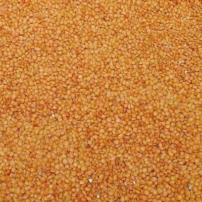 عدس قرمز گلستان ۹۰۰ گرمی