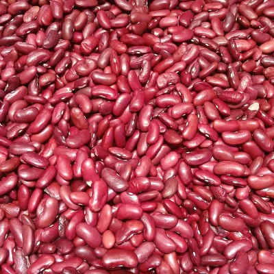 لوبیا قرمز گلستان ۹۰۰ گرمی